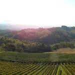Feriegård Farm Jarc Vineyard *