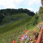 Feriegård Farm Jarc Vineyard *