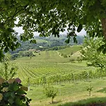 Feriegård Farm Jarc Vineyard