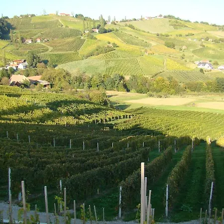 Farm Jarc Vineyard