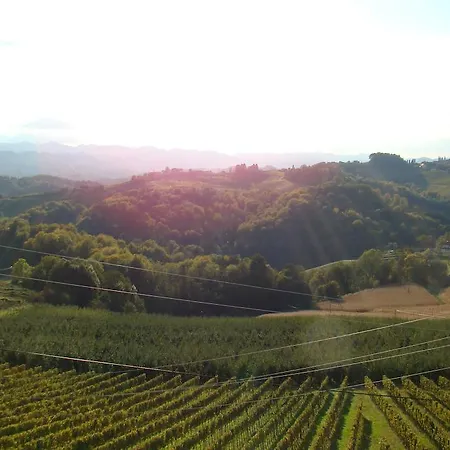 مزرعة للإقامة Farm Jarc Vineyard *