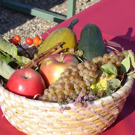 Κατάλυμα σε φάρμα Farm Jarc Vineyard