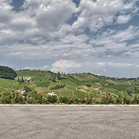 Bauernhof Farm Jarc Vineyard *