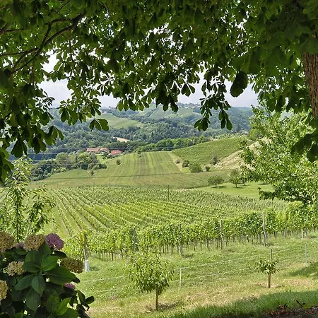 Feriegård Farm Jarc Vineyard