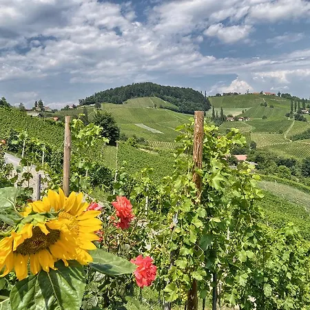 Bauernhof Farm Jarc Vineyard *