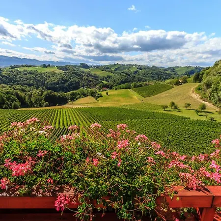 Bauernhof Farm Jarc Vineyard