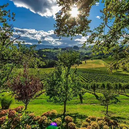 Farm Jarc Vineyard Farm stay