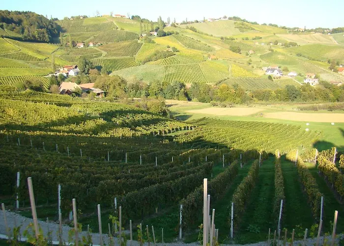 Farm Jarc Vineyard