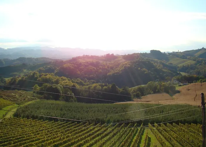 팜스테이 Farm Jarc Vineyard *