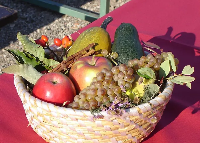 팜스테이 Farm Jarc Vineyard