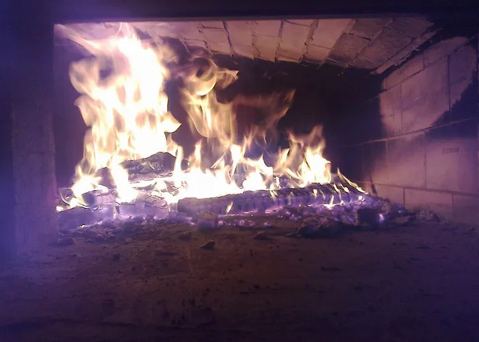 팜스테이 Farm Jarc Vineyard