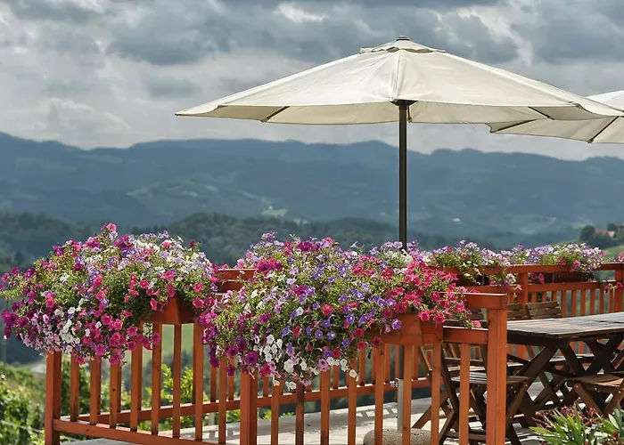 Farm Jarc Vineyard Svecina