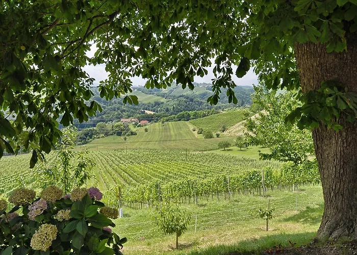 Bauernhof Farm Jarc Vineyard