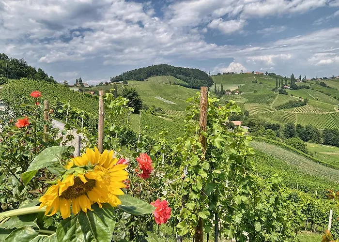 팜스테이 Farm Jarc Vineyard *