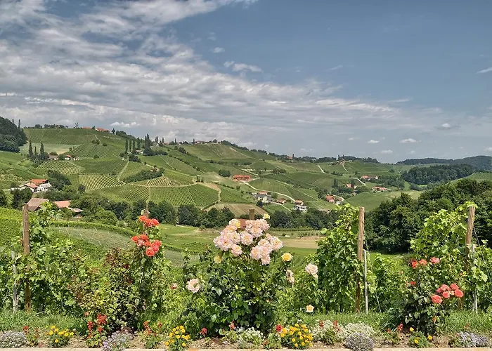 Bauernhof Farm Jarc Vineyard *