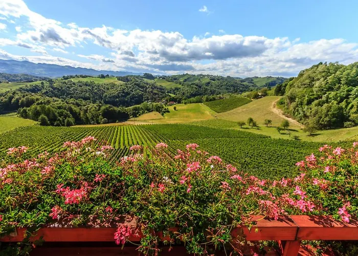 Bauernhof Farm Jarc Vineyard