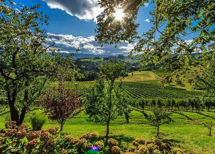 Farm Jarc Vineyard Bauernhof